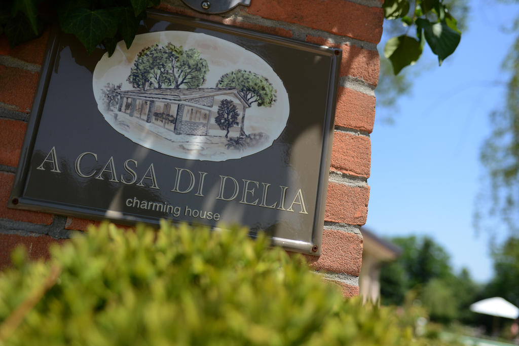 A Casa Di Delia B&B Charming House Sant'Elena di Silea Dış mekan fotoğraf